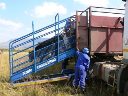 Cattle Loading Ramp High Speed